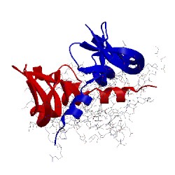 Image of CATH 5hhc