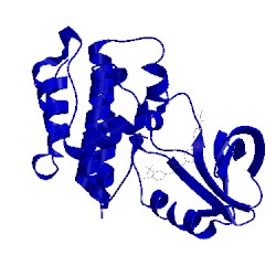 Image of CATH 5hi2