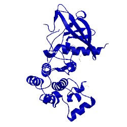 Image of CATH 5hic