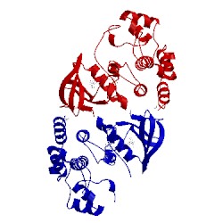 Image of CATH 5hid