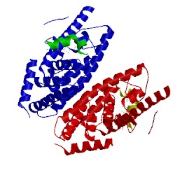 Image of CATH 5hjs