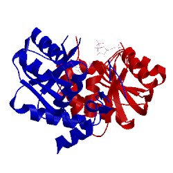 Image of CATH 5hkf