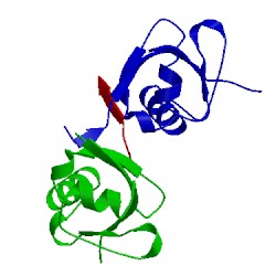 Image of CATH 5hkh