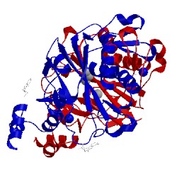 Image of CATH 5hlk