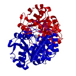 Image of CATH 5hnr