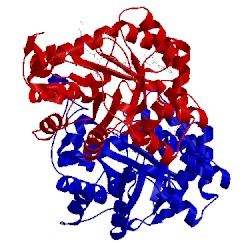 Image of CATH 5hnt