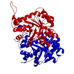 Image of CATH 5hnu
