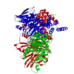 Image of CATH 5hog
