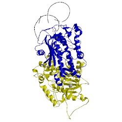 Image of CATH 5hp3