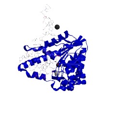Image of CATH 5hp4