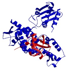 Image of CATH 5hpk