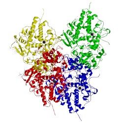 Image of CATH 5hpw