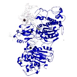 Image of CATH 5hrt