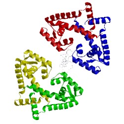 Image of CATH 5hso