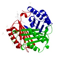 Image of CATH 5hvs