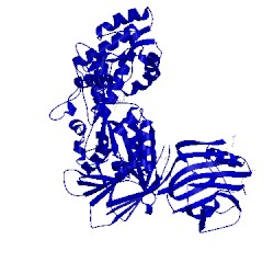 Image of CATH 5i04