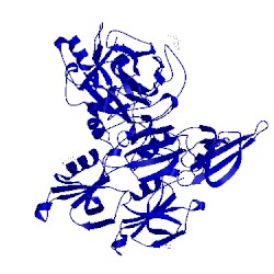 Image of CATH 5i25
