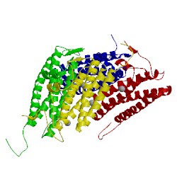 Image of CATH 5i4j