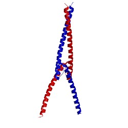 Image of CATH 5i50