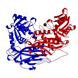 Image of CATH 5i5u