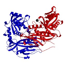 Image of CATH 5i5v