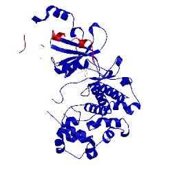 Image of CATH 5i5z