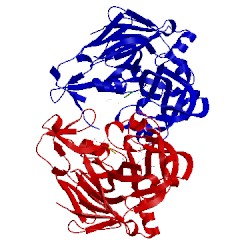 Image of CATH 5i70
