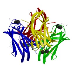 Image of CATH 5i8x