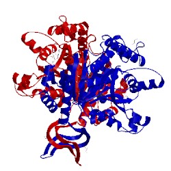 Image of CATH 5i96
