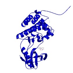 Image of CATH 5i9w