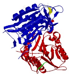 Image of CATH 5iab