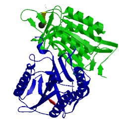 Image of CATH 5ibr