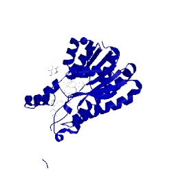 Image of CATH 5icm