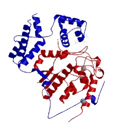 Image of CATH 5icn