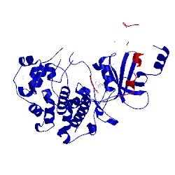 Image of CATH 5icp