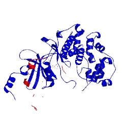 Image of CATH 5idp