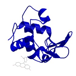 Image of CATH 5iel