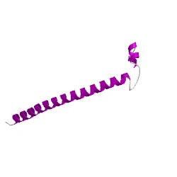 Image of CATH 5ifmH03