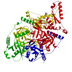 Image of CATH 5ifs