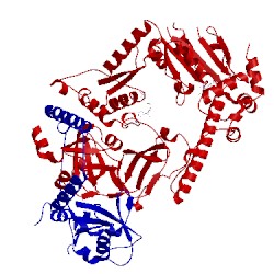 Image of CATH 5ifw