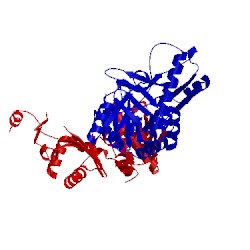 Image of CATH 5ig8