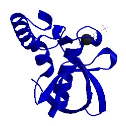 Image of CATH 5igg