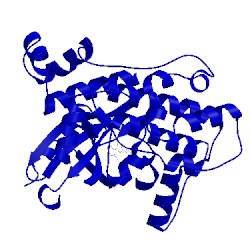 Image of CATH 5iha