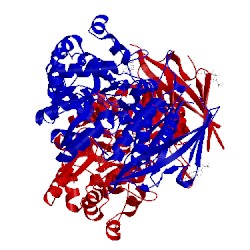 Image of CATH 5iic