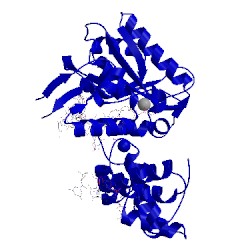 Image of CATH 5iii