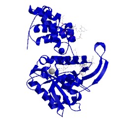Image of CATH 5iin
