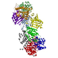 Image of CATH 5ijt