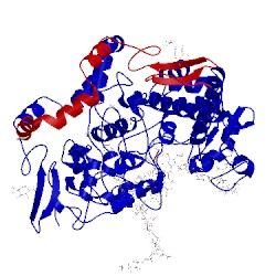 Image of CATH 5ikq