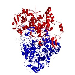 Image of CATH 5ikv
