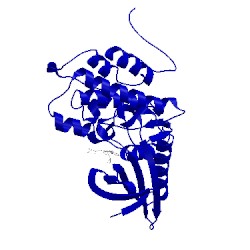Image of CATH 5ikw